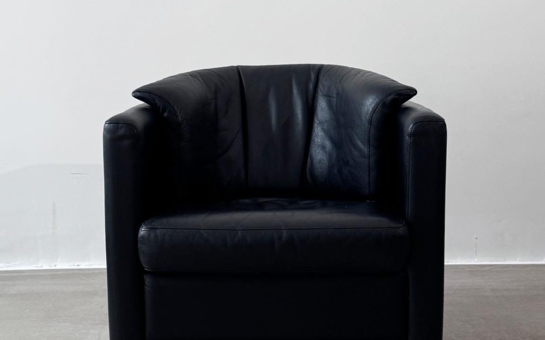 Fotel Leolux, Holandia